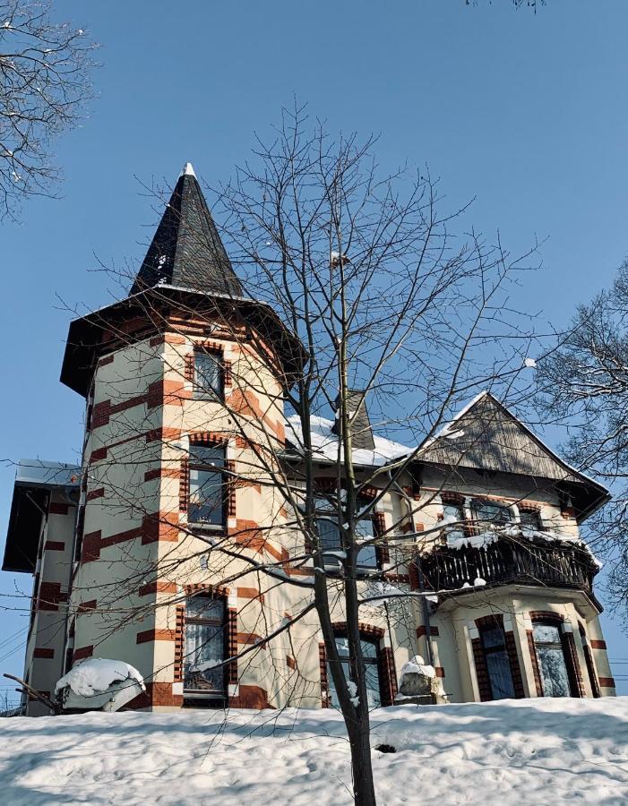 Turmvilla Vogtland Oelsnitz  Exteriér fotografie