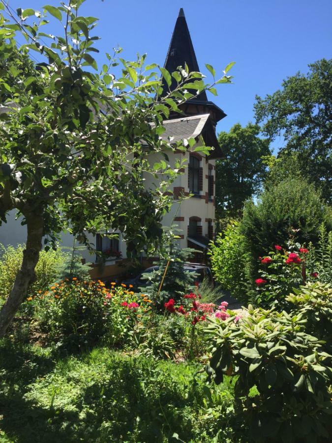 Turmvilla Vogtland Oelsnitz  Exteriér fotografie