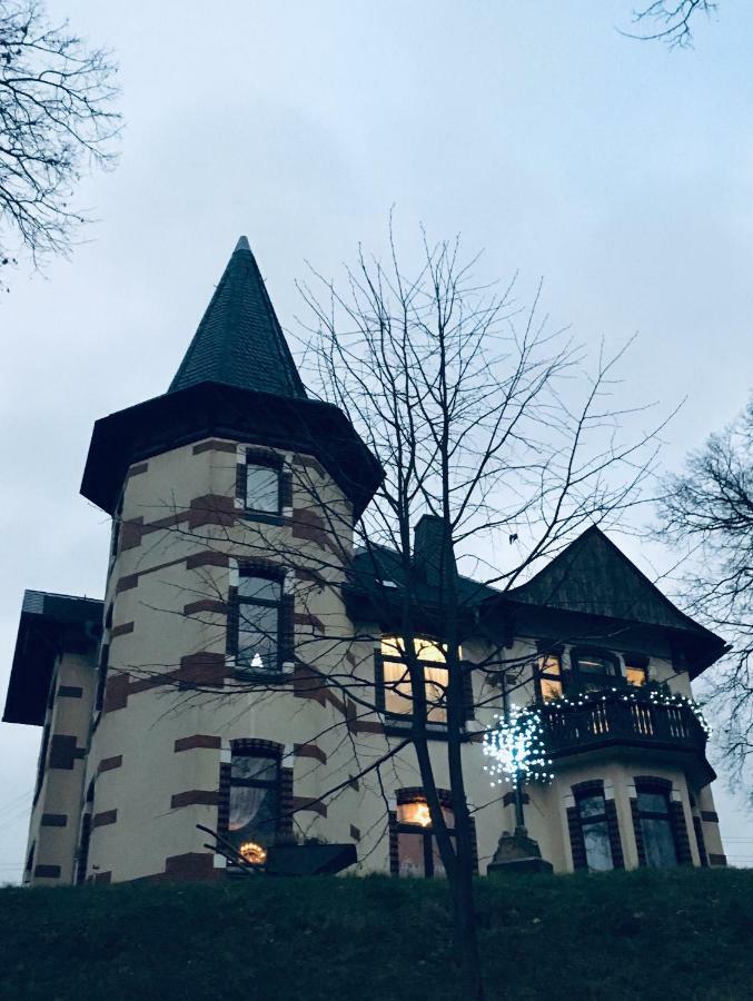 Turmvilla Vogtland Oelsnitz  Exteriér fotografie